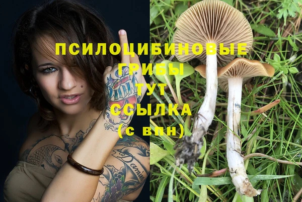 бошки Алзамай