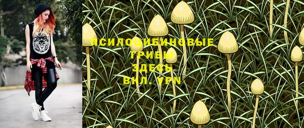 бошки Алзамай